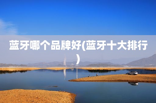 蓝牙哪个品牌好(蓝牙十大排行)