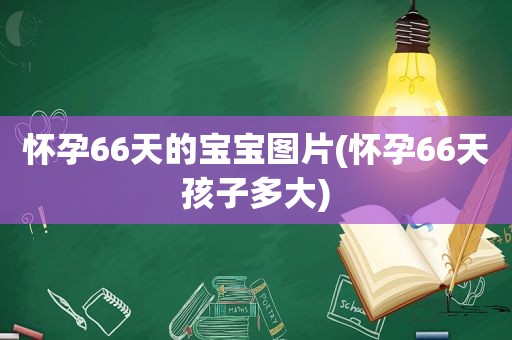 怀孕66天的宝宝图片(怀孕66天孩子多大)