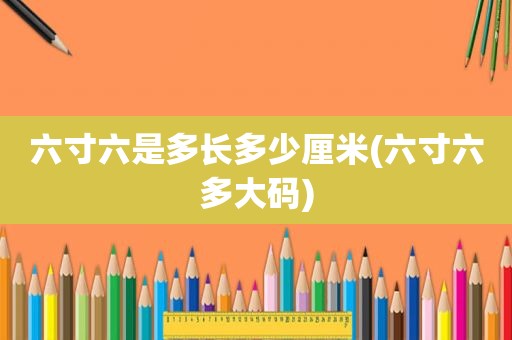 六寸六是多长多少厘米(六寸六多大码)
