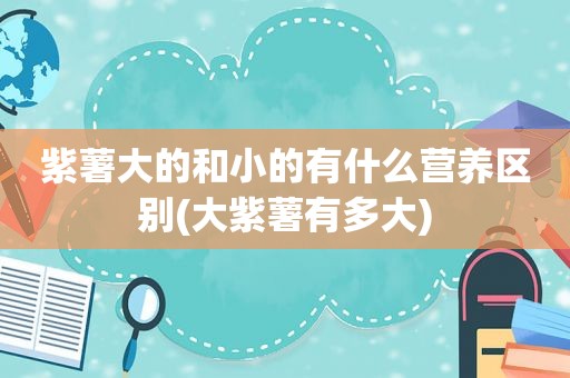 紫薯大的和小的有什么营养区别(大紫薯有多大)