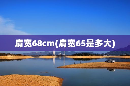 肩宽68cm(肩宽65是多大)