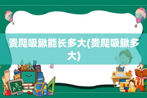 贵爬吸鳅能长多大(贵爬吸鳅多大)