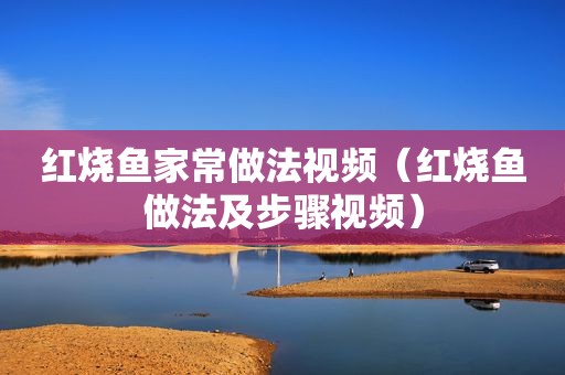 红烧鱼家常做法视频（红烧鱼做法及步骤视频）