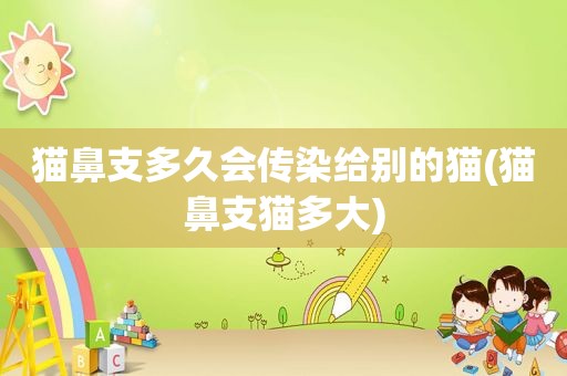 猫鼻支多久会传染给别的猫(猫鼻支猫多大)