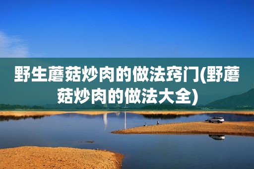 野生蘑菇炒肉的做法窍门(野蘑菇炒肉的做法大全)