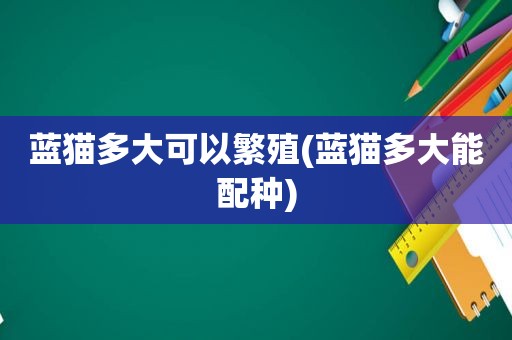 蓝猫多大可以繁殖(蓝猫多大能配种)