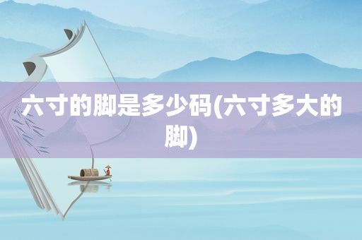 六寸的脚是多少码(六寸多大的脚)