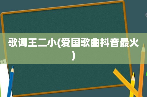 歌词王二小(爱国歌曲抖音最火)