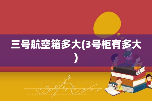 三号航空箱多大(3号柜有多大)