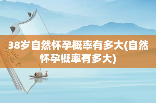38岁自然怀孕概率有多大(自然怀孕概率有多大)