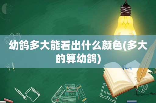 幼鸽多大能看出什么颜色(多大的算幼鸽)