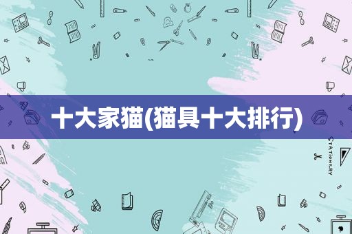 十大家猫(猫具十大排行)