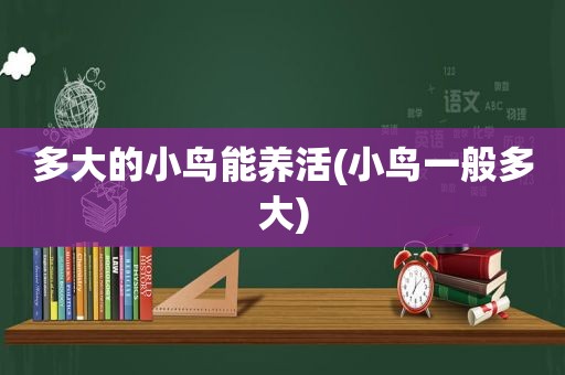 多大的小鸟能养活(小鸟一般多大)