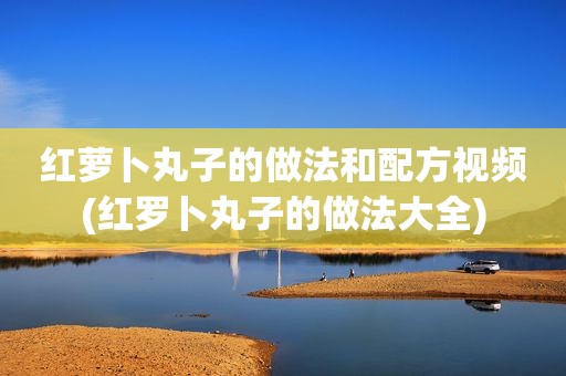 红萝卜丸子的做法和配方视频(红罗卜丸子的做法大全)