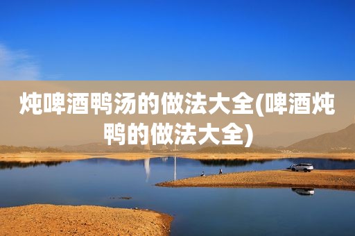 炖啤酒鸭汤的做法大全(啤酒炖鸭的做法大全)