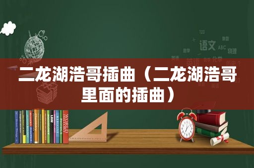 二龙湖浩哥插曲（二龙湖浩哥里面的插曲）