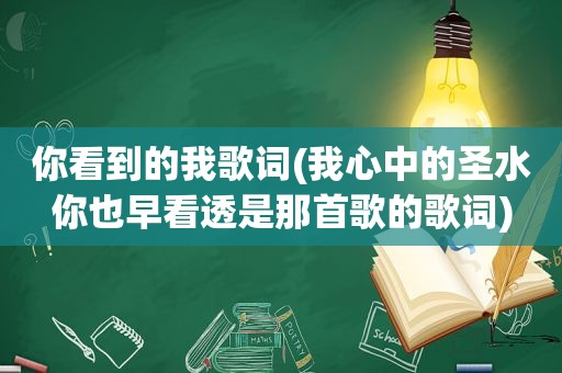你看到的我歌词(我心中的圣水你也早看透是那首歌的歌词)