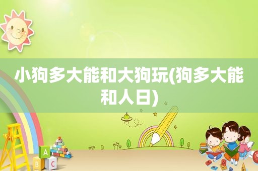 小狗多大能和大狗玩(狗多大能和人日)