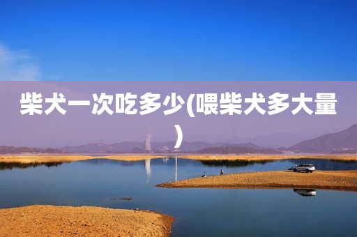 柴犬一次吃多少(喂柴犬多大量)
