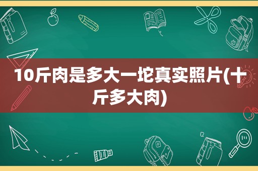 10斤肉是多大一坨真实照片(十斤多大肉)