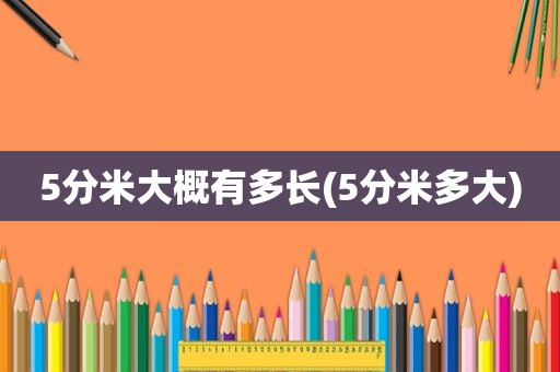 5分米大概有多长(5分米多大)