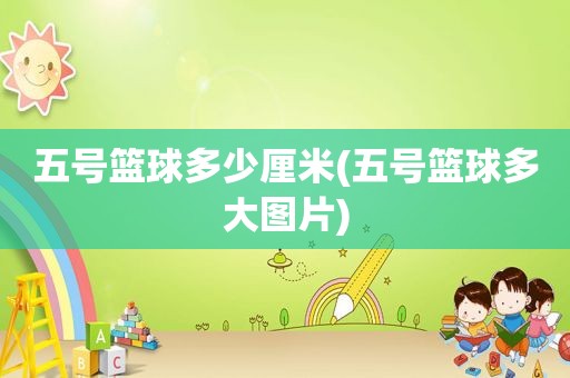 五号篮球多少厘米(五号篮球多大图片)