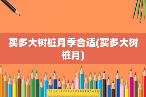 买多大树桩月季合适(买多大树桩月)