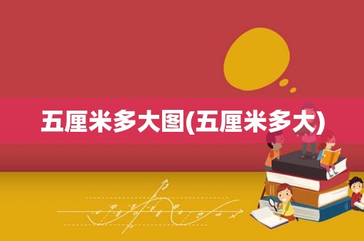 五厘米多大图(五厘米多大)
