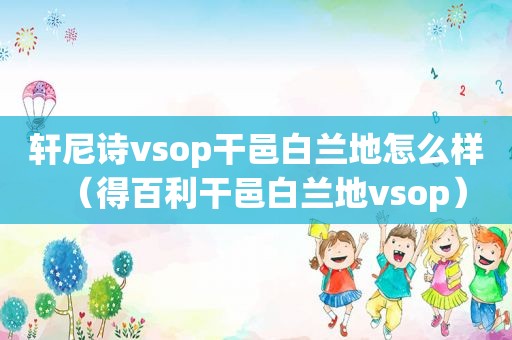 轩尼诗vsop干邑白兰地怎么样（得百利干邑白兰地vsop）
