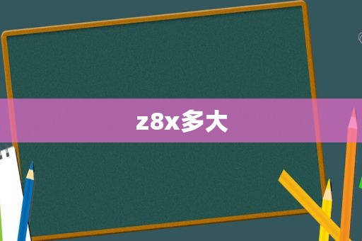 z8x多大