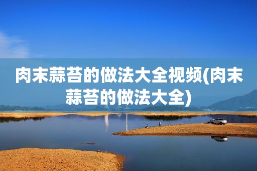 肉末蒜苔的做法大全视频(肉末蒜苔的做法大全)