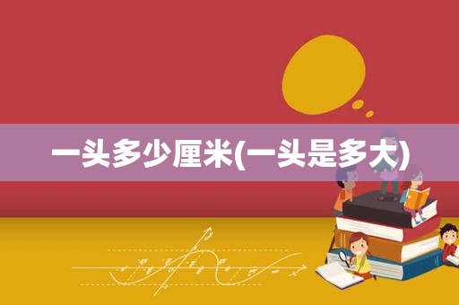 一头多少厘米(一头是多大)