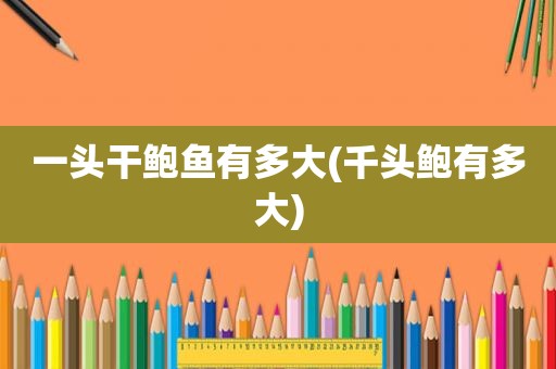 一头干鲍鱼有多大(千头鲍有多大)