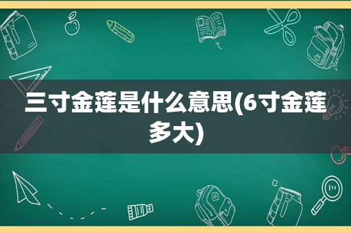 三寸金莲是什么意思(6寸金莲多大)