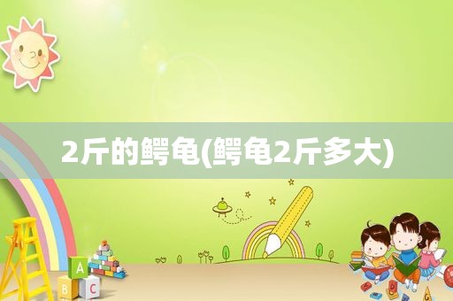 2斤的鳄龟(鳄龟2斤多大)