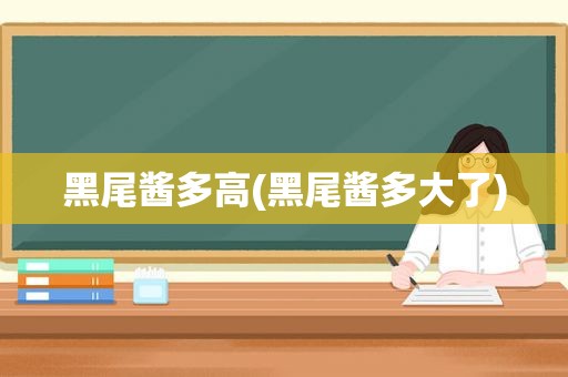 黑尾酱多高(黑尾酱多大了)