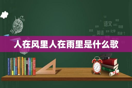 人在风里人在雨里是什么歌