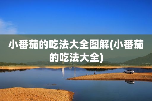 小番茄的吃法大全图解(小番茄的吃法大全)