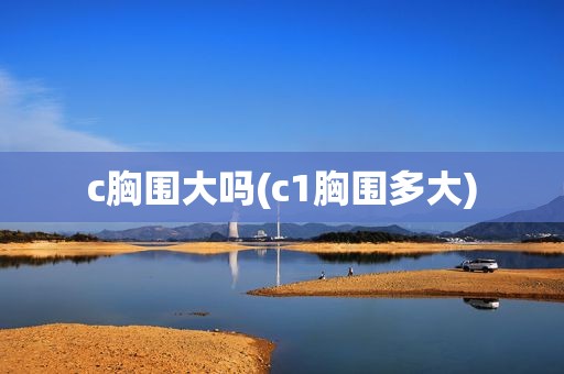 c胸围大吗(c1胸围多大)