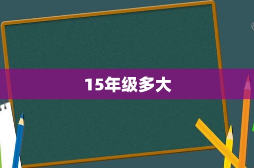 15年级多大