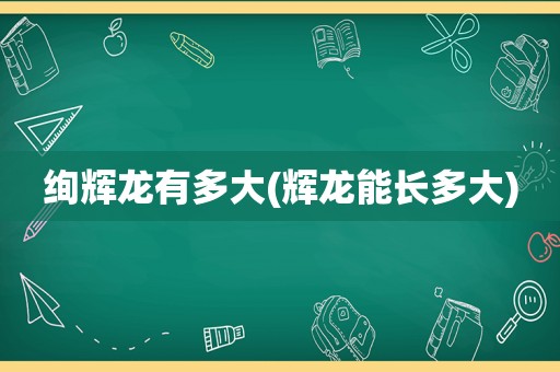 绚辉龙有多大(辉龙能长多大)