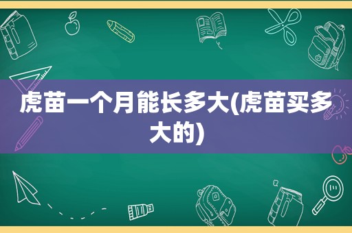 虎苗一个月能长多大(虎苗买多大的)