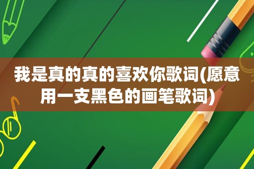 我是真的真的喜欢你歌词(愿意用一支黑色的画笔歌词)
