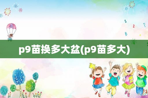 p9苗换多大盆(p9苗多大)