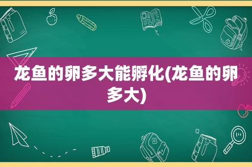 龙鱼的卵多大能孵化(龙鱼的卵多大)