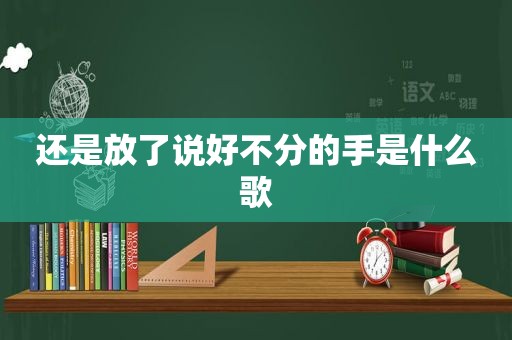 还是放了说好不分的手是什么歌