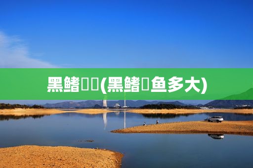 黑鳍鳑鲏(黑鳍鳈鱼多大)