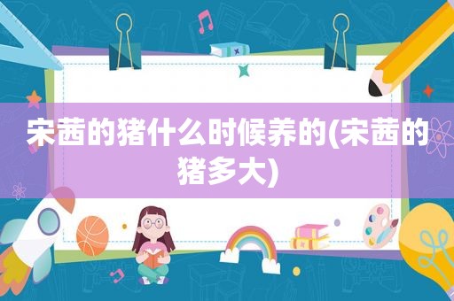 宋茜的猪什么时候养的(宋茜的猪多大)