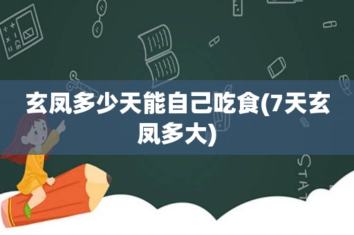 玄凤多少天能自己吃食(7天玄凤多大)