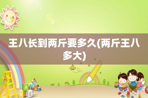 王八长到两斤要多久(两斤王八多大)